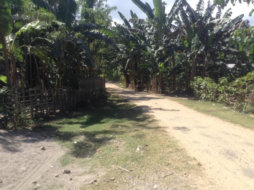 Rasti Homestay Kuta  Buitenkant foto