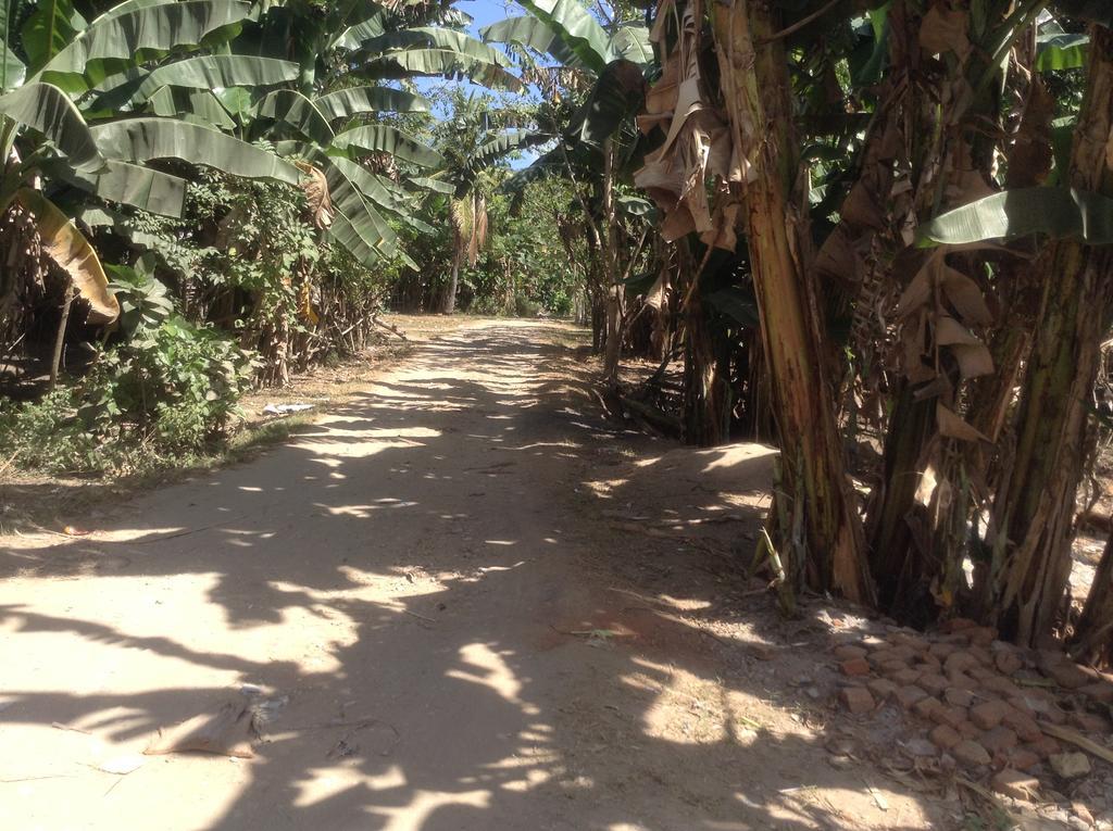 Rasti Homestay Kuta  Buitenkant foto